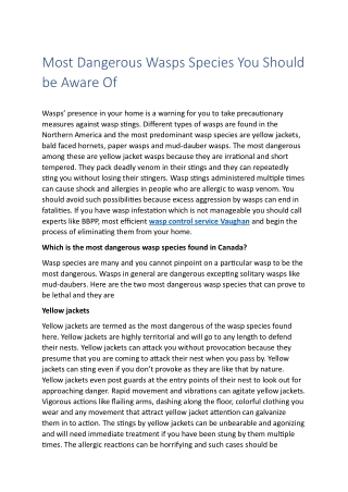 Most Dangerous Wasps Species You Should be Aware Of