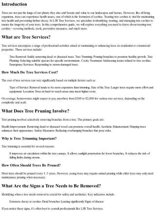 Treating Tree Cavities: Tips from LJR Tree Services