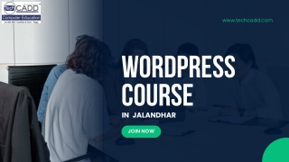 Best WordPress Course in Jalandhar