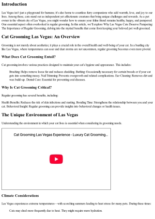 Why Las Vegas Cats Deserve Pampering: The Importance of Regular Grooming
