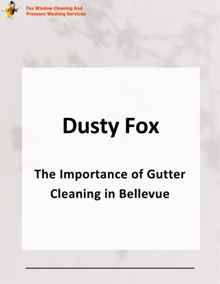 Professional Gutter Cleaning Bellevue – Protect Your Home Today