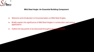 Mild Steel Angle
