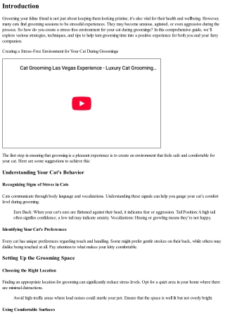 Creating a Stress-Free Environment for Your Cat During Groomings