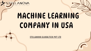 Leading Machine Learning Company in USA | Stellanova Globaltech