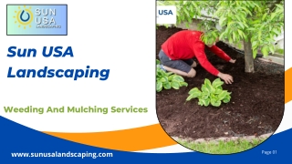 Professional Weeding and Mulching Solutions for a Thriving, Weed-Free Landscape