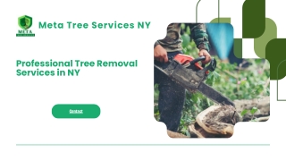 Professional Tree Removal Services in NY