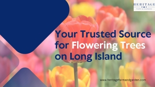 Beautiful Flowering Trees on Long Island | Shop Now