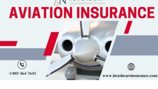 Aviation Insurance by Brashears & Newendorp Insurance
