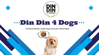 Din Din 4 Dogs -A Glance
