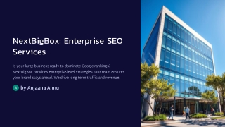 NextBigBox-Enterprise-SEO-Services
