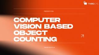 Computer Vision based Object Counting