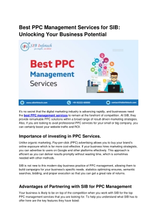 Best PPC Management Services for SIB_ Unlocking Your Business Potential