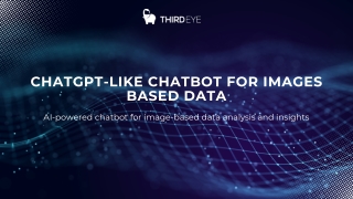 ChatGPT-like Chatbot for Images Based Data (3)