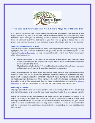 Tree Care And Maintenance Is Not A Child’s Play: Know What To Do!
