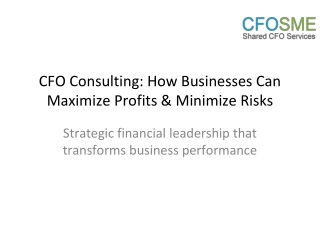 CFO Consulting_ How Businesses Can Maximize Profits & Minimize Risks