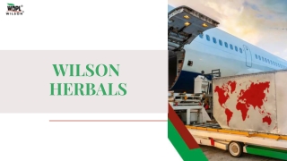 Wilson Herbals