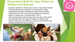 Personalized Bulk Pet Tags