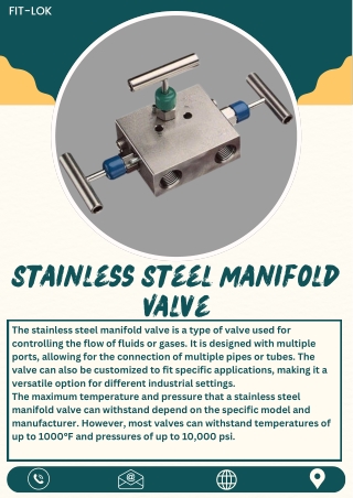 Stainless Steel Manifold Valve