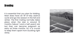 Dairy Goat Farming for Small Landholders An Introduction