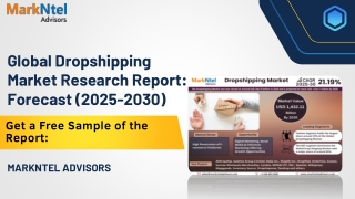 Dropshipping Market Comprehensive Analysis and Forecast 2025-30