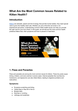 What Are the Most Common Issues Related to Kitten Health_