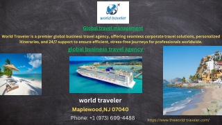 Global travel management services