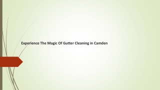 Experience The Magic Of Gutter Cleaning in Camden