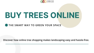 How to Ensure Success When Buying Trees Online