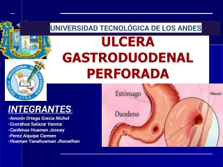 grupo4ulceraduonenalperforada-241028231855-253883e9