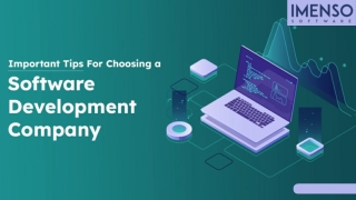 Custom Software Development