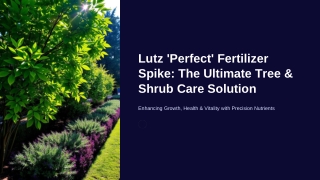 Lutz Perfect Fertilizer Spike
