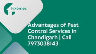 Advantages of Pest Control Services in Chandigarh  Call 7973038143