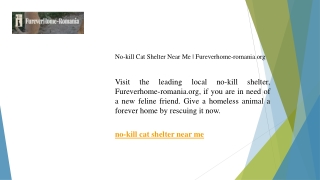 No-kill Cat Shelter Near Me  Fureverhome-romania.org