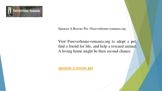 Sponsor A Rescue Pet  Fureverhome-romania.org