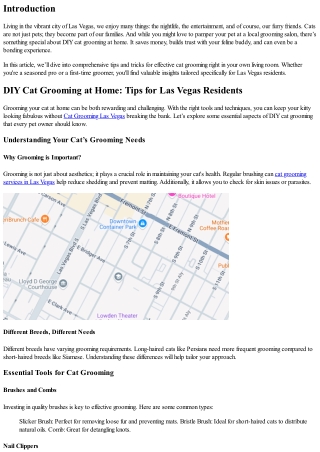 DIY Cat Grooming at Home: Tips for Las Vegas Residents
