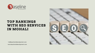 Top SEO Services in Mohali
