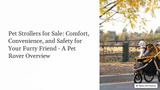 Pet-Strollers-for-Sale-Comfort-Convenience-and-Safety-for-Your-Furry-Friend-A-Pet-Rover-Overview