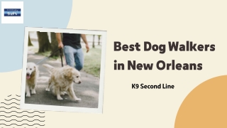 Best Dog Walkers in New Orleans