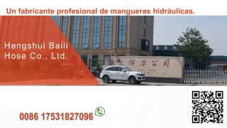 manguerashidraulic de baili