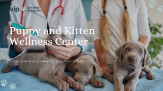 VIP Animal Hospital’s Puppy and Kitten Wellness Center Where Healthy Beginnings