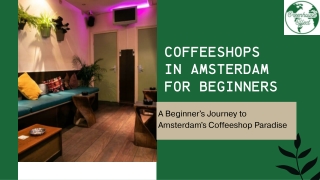 Coffeeshops in Amsterdam for Beginners