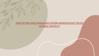 Identifying and Managing Sperm Morphology Issues in Male Fertility