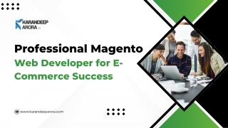 Skilled Magento Web Developer | Custom E-Commerce Solutions