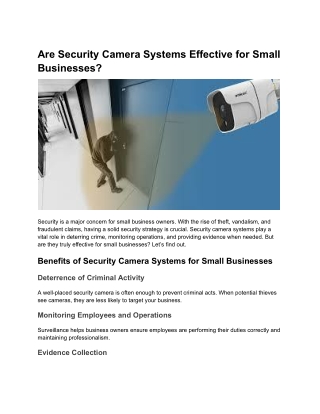 Are Security Camera Systems Effective for Small Businesses