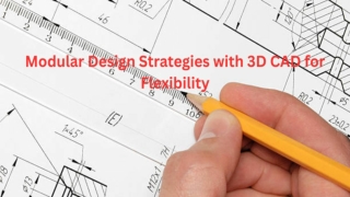 Modular Design Strategies with 3D CAD for Flexibility