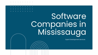Software Companies in Mississauga | Haya Solutions