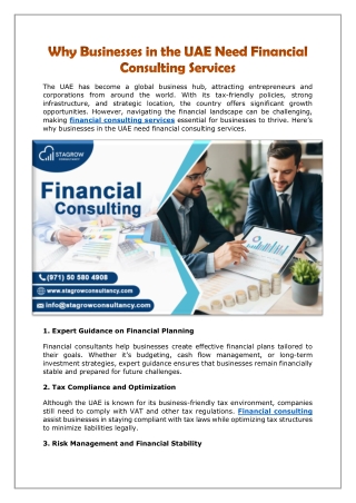 Why Businesses in the UAE Need Financial Consulting Services