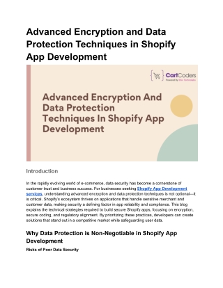 Advanced Encryption and Data Protection Techniques in Shopify App Development