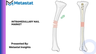 Intramedullary Nail Market Size & Share, Analysis 2031