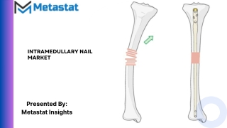 Intramedullary Nail Market Size & Share, Analysis 2031
